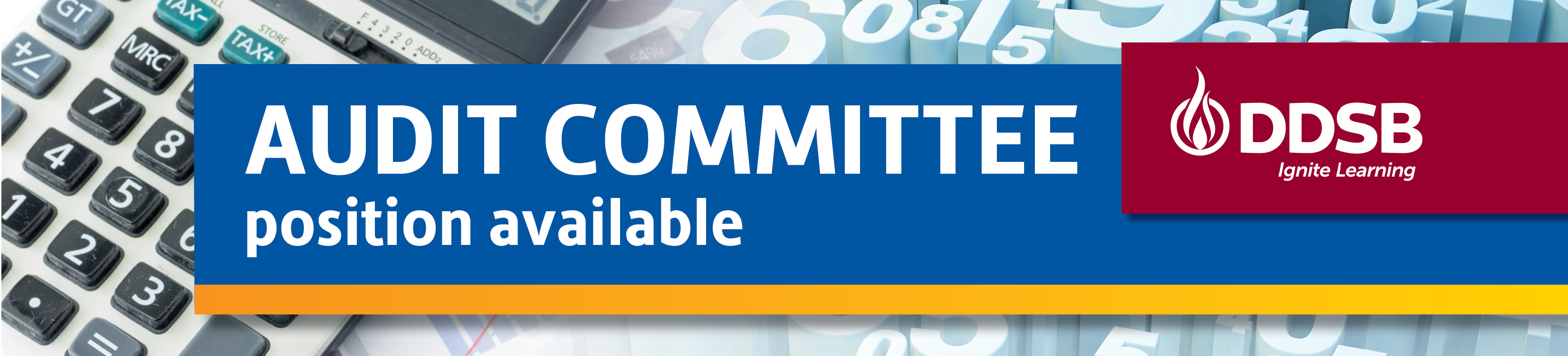 Audit Committee Position available