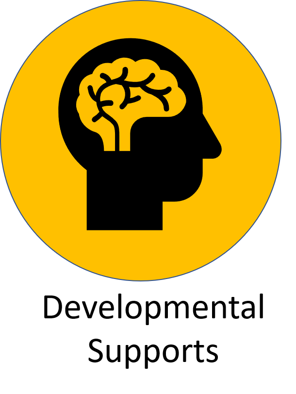 brain icon