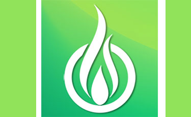 DDSB Logo on green background