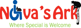 Nova's Arc logo